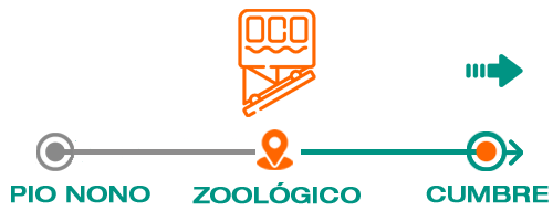 Zoo - Cumbre
